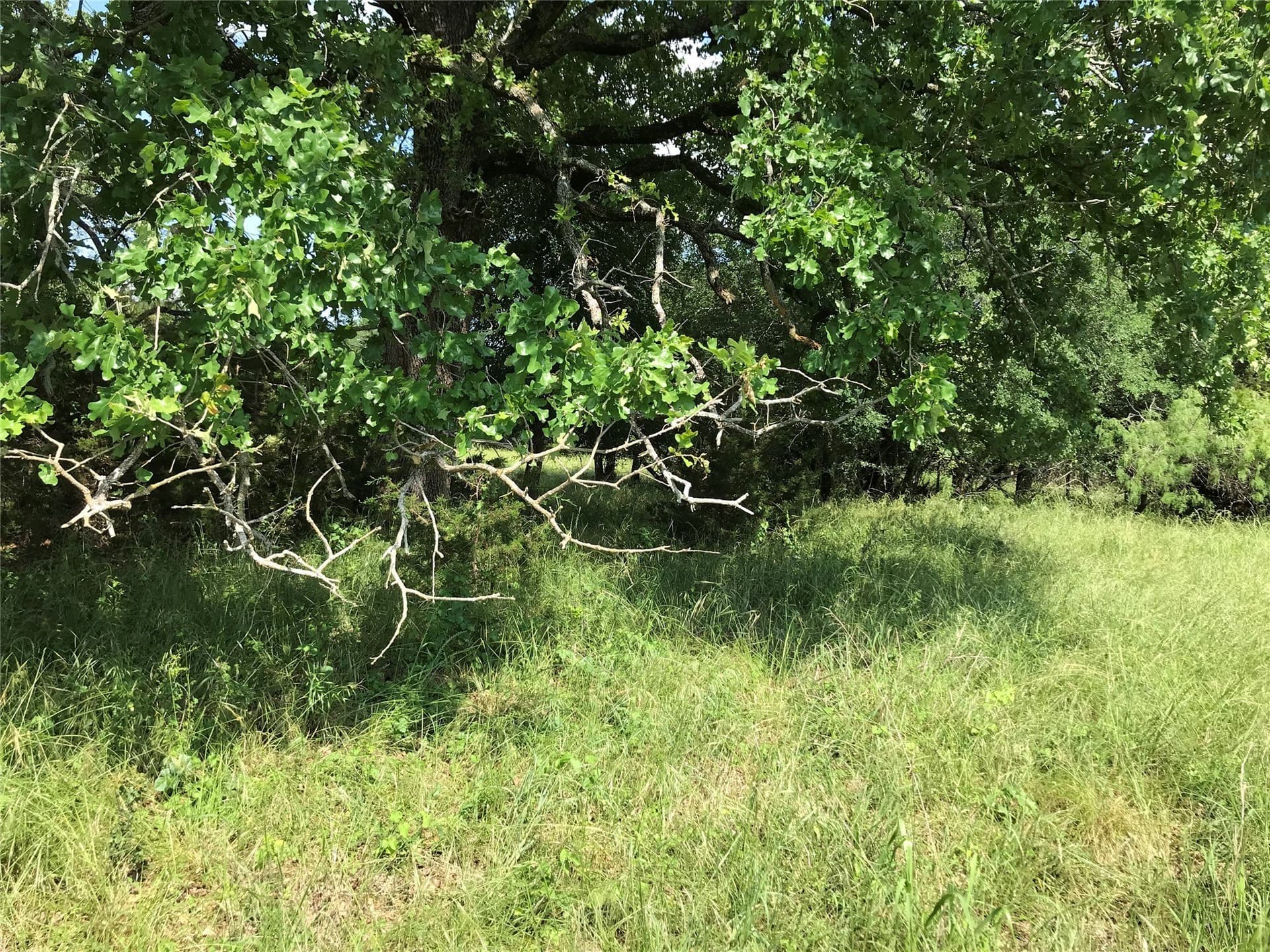0.92 acres in Hill County - photo 17