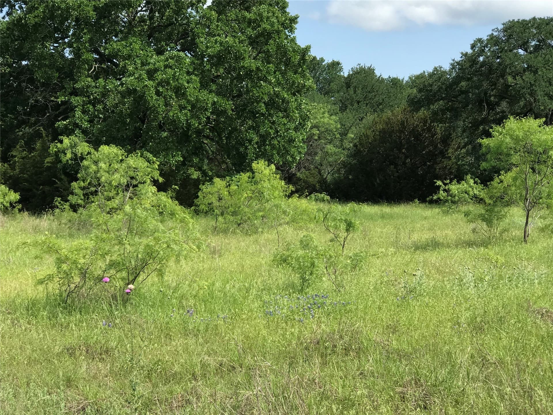 0.92 acres in Hill County gallery image 4