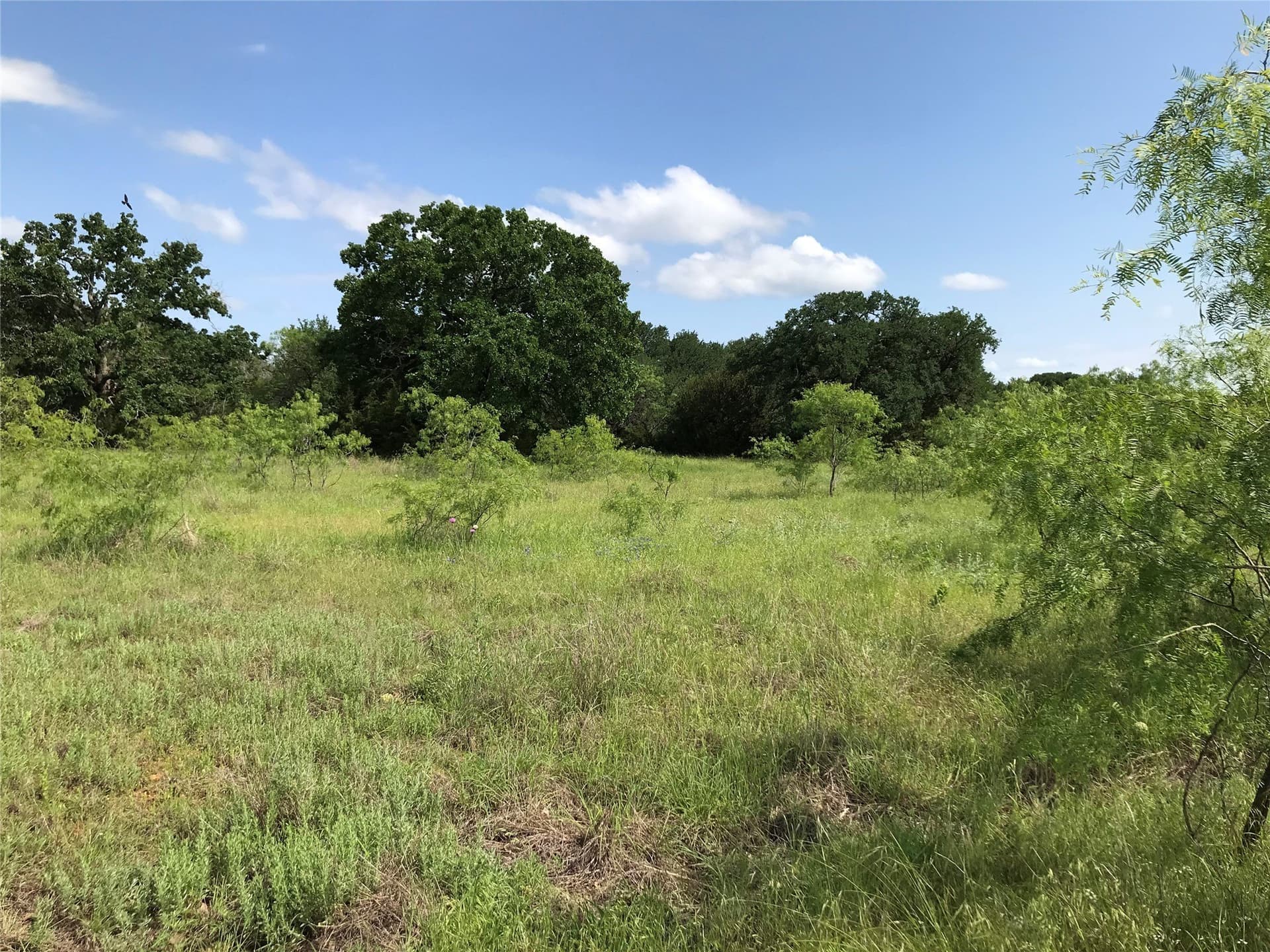 0.92 acres in Hill County gallery image 3