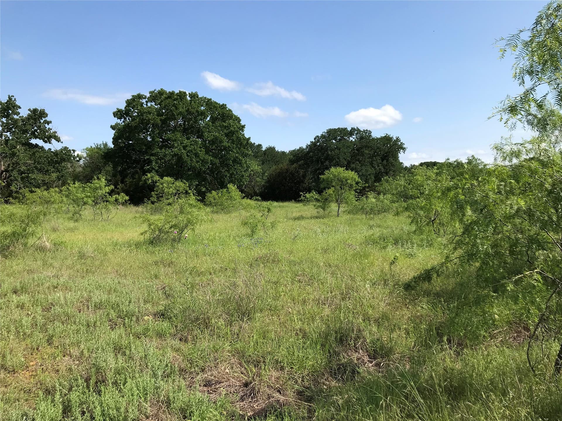 0.92 acres in Hill County - photo 36