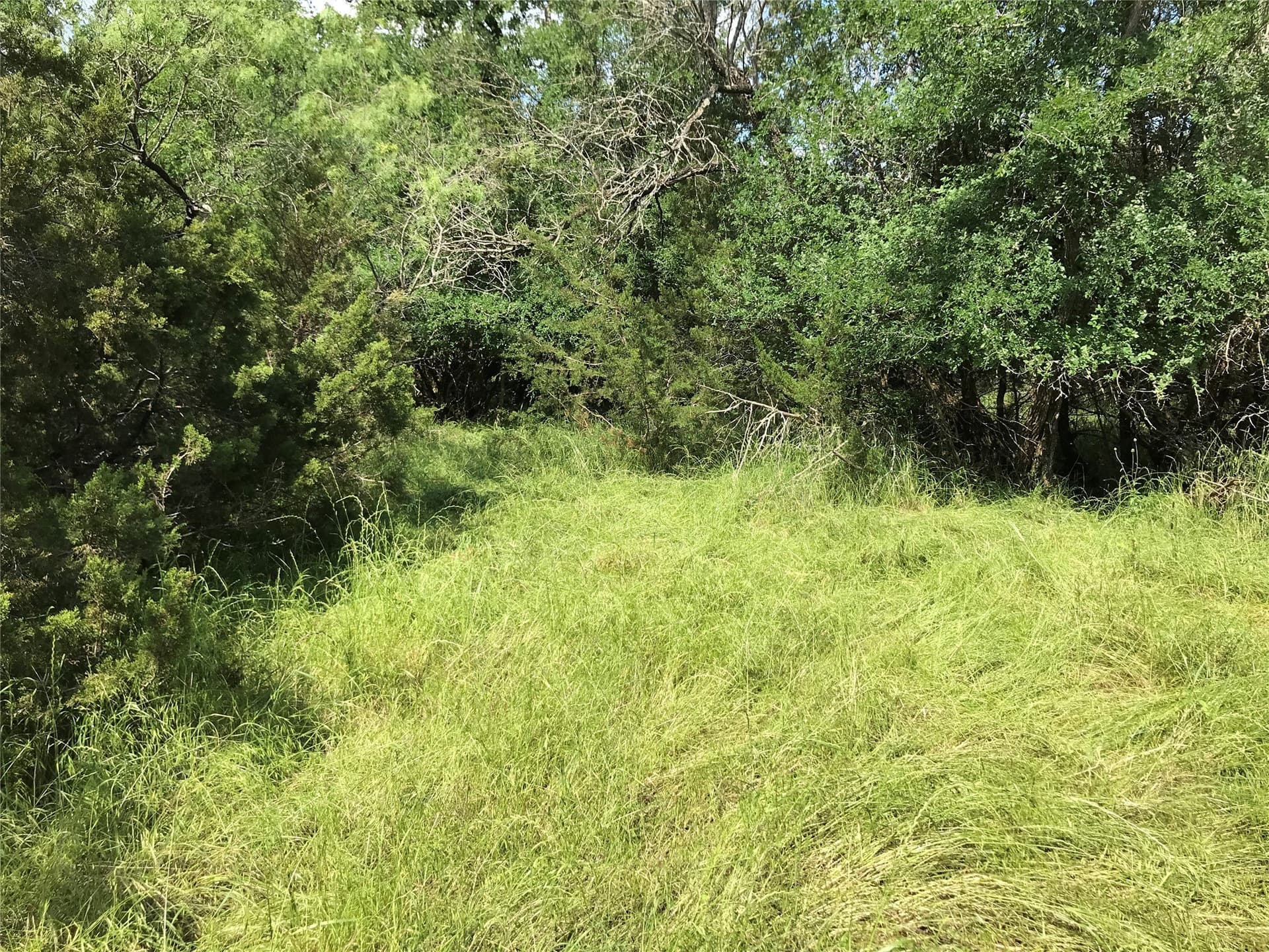 0.92 acres in Hill County - photo 32
