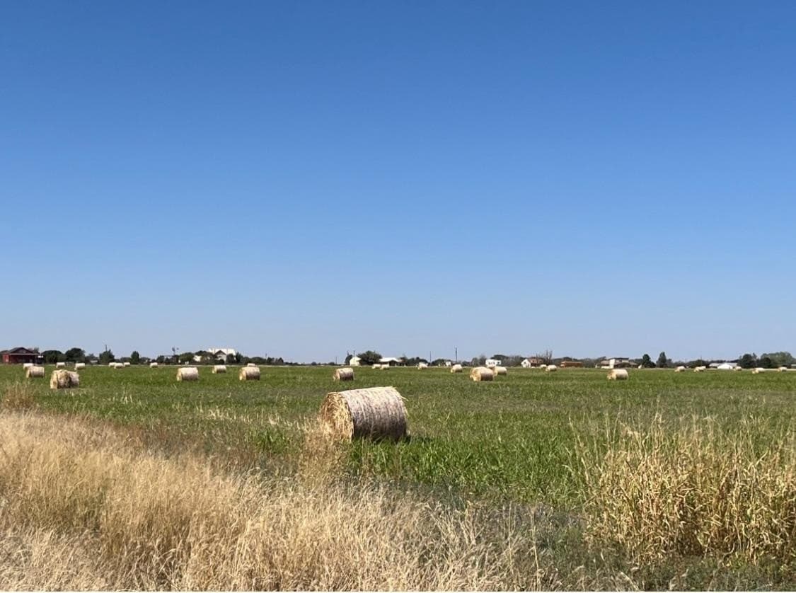107.33 acres in Lubbock County - photo 2