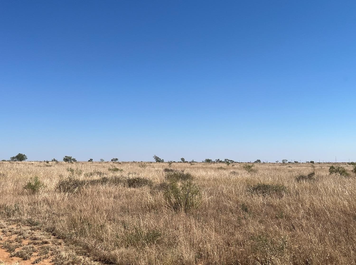 107.33 acres in Lubbock County - photo 6