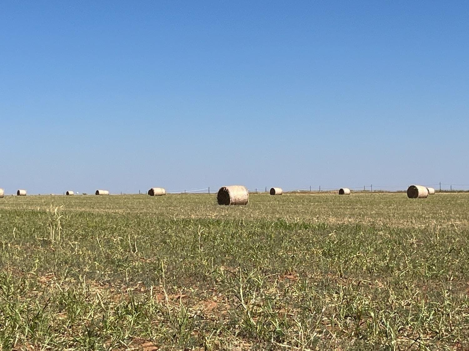 107.33 acres in Lubbock County - photo 4