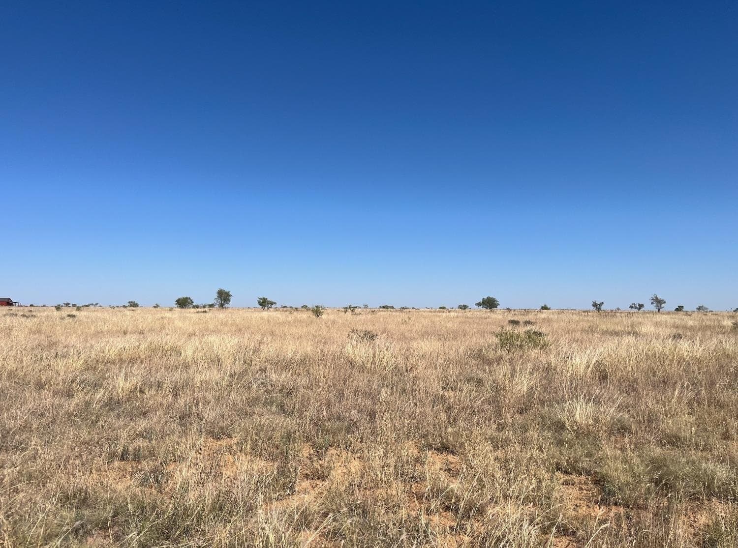 107.33 acres in Lubbock County - photo 7