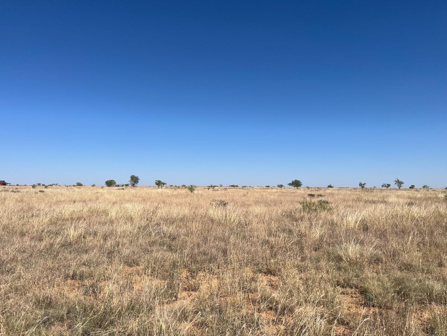 107.33 acres in Lubbock County - photo 5