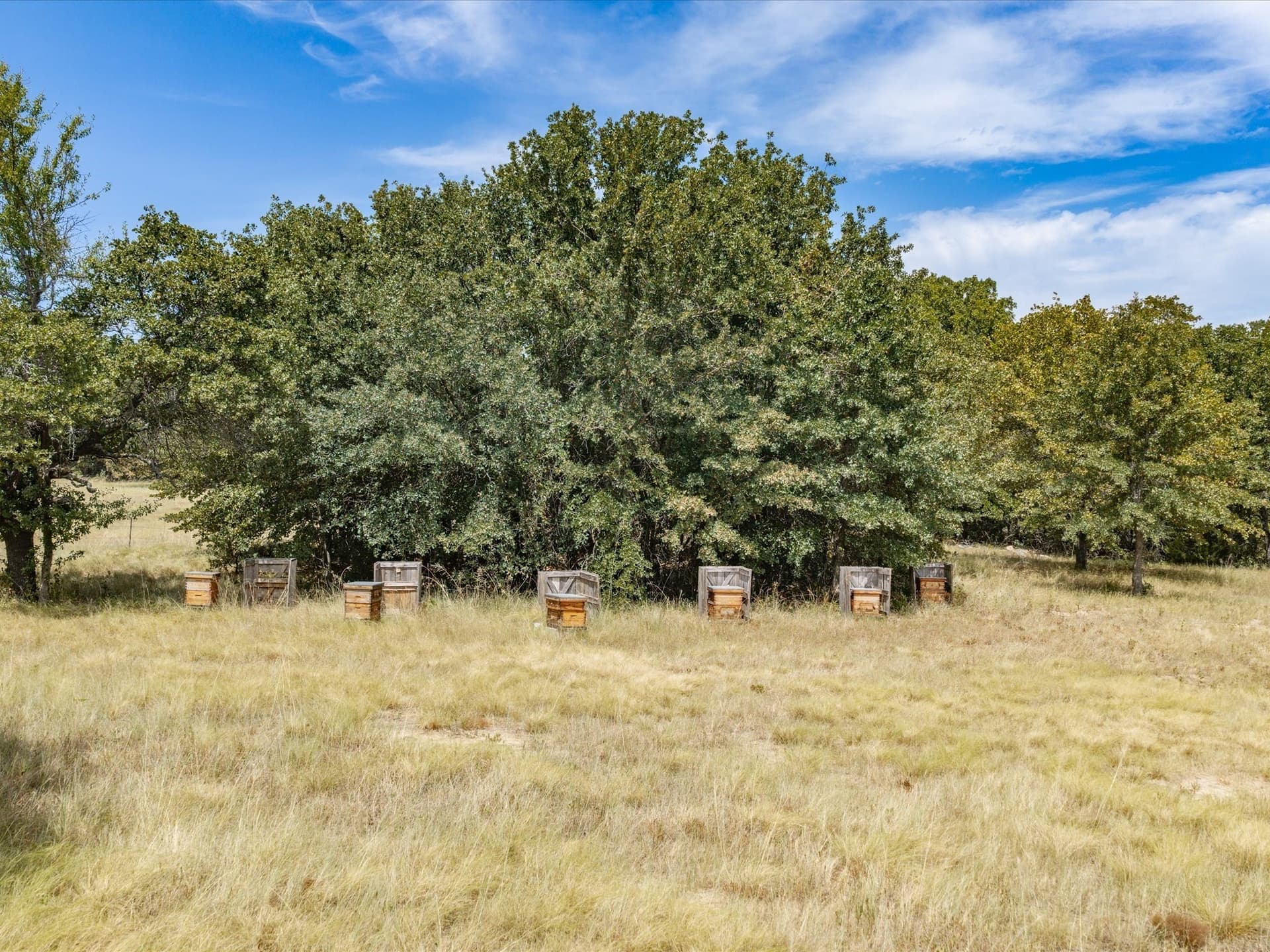 13 acres in Montague County - photo 30