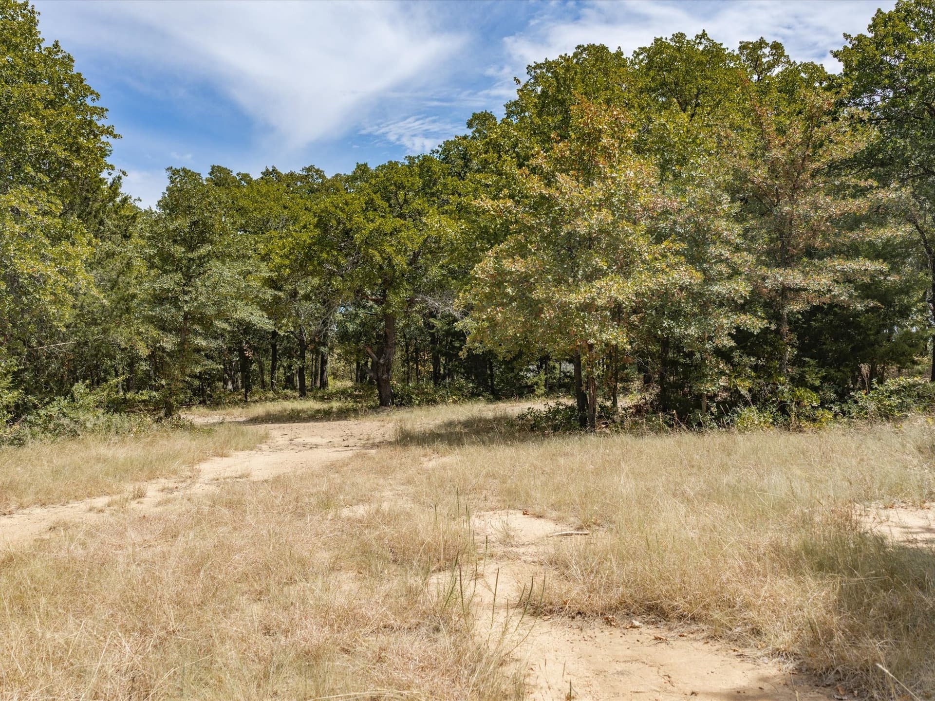 13 acres in Montague County - photo 32