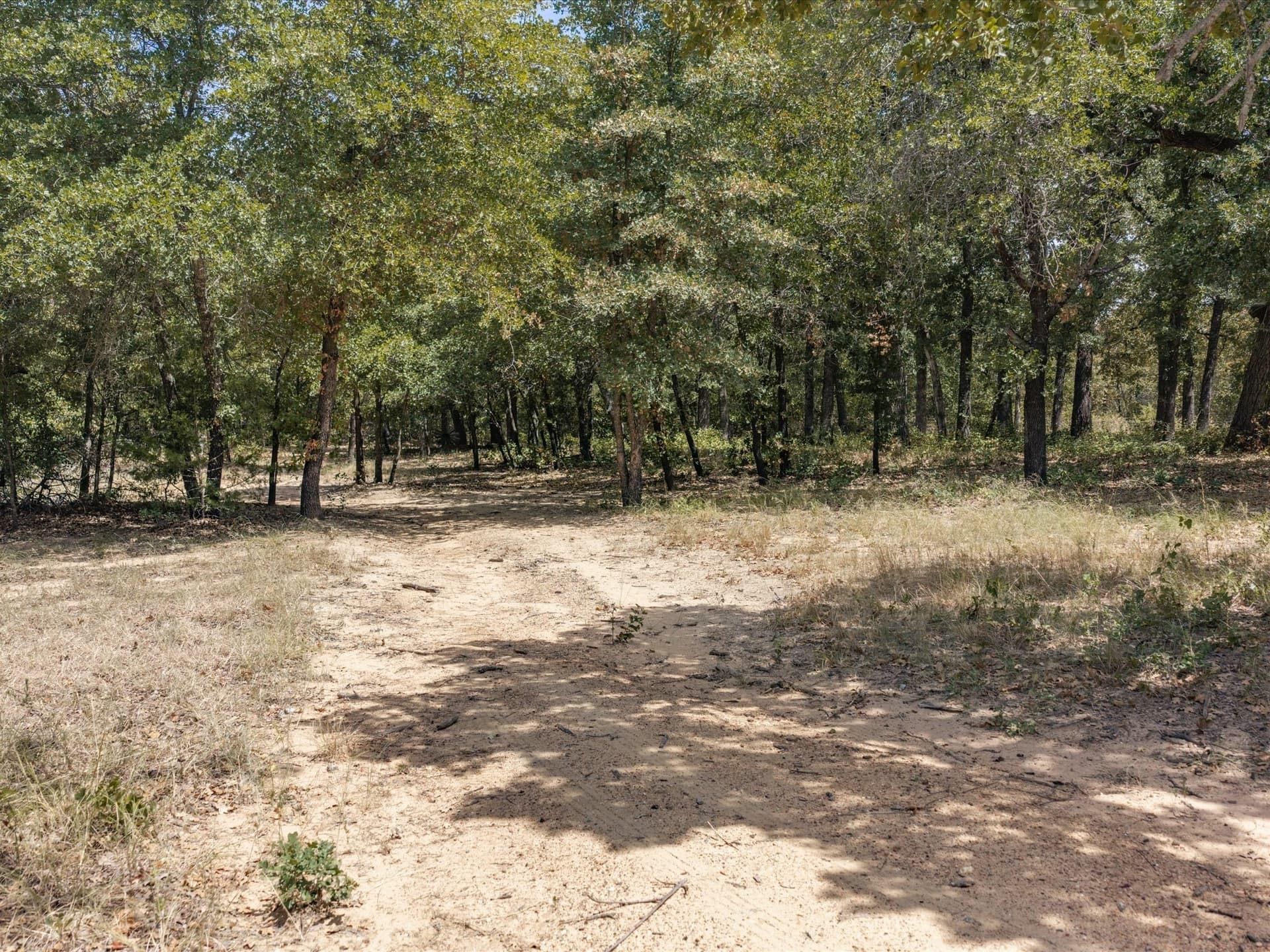 13 acres in Montague County - photo 33