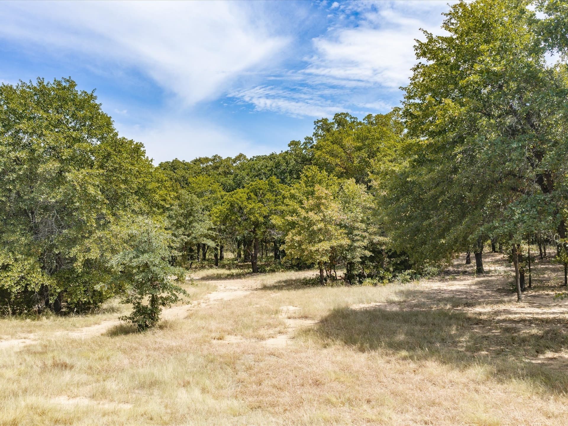 13 acres in Montague County - photo 29