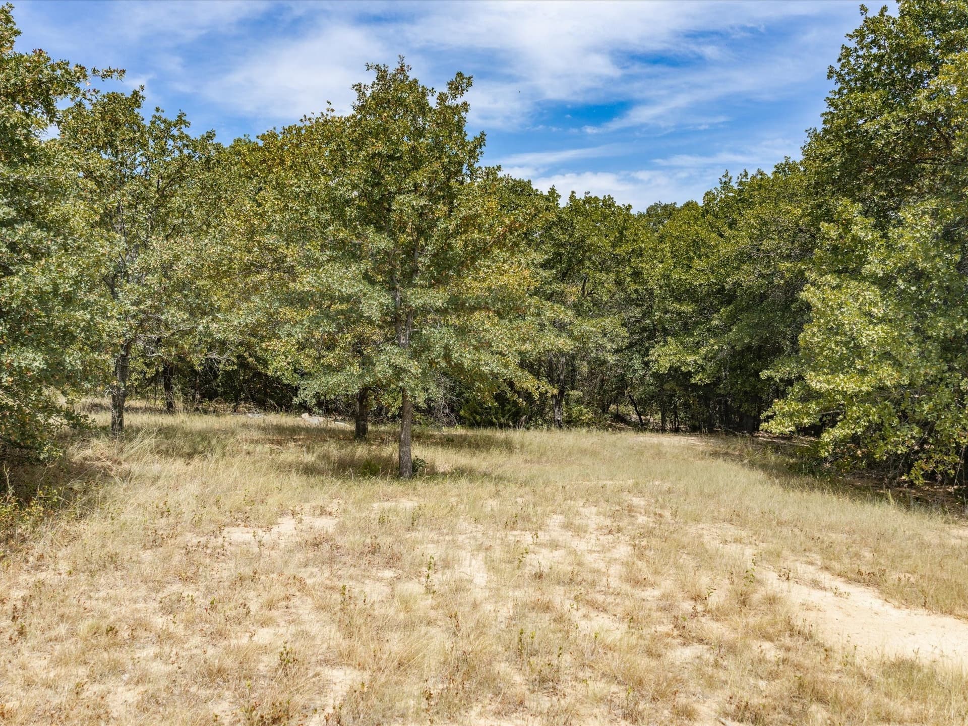 13 acres in Montague County - photo 31