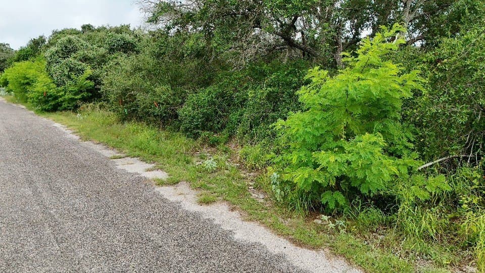 0.43 acres in San Patricio County - photo 2