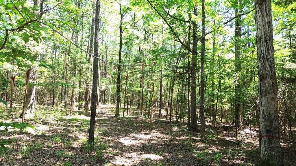 6.76 acres in Texas County - photo 7