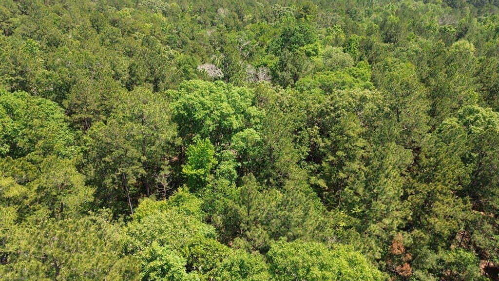 6.76 acres in Texas County - photo 11