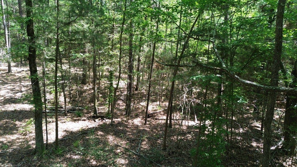 6.76 acres in Texas County - photo 17