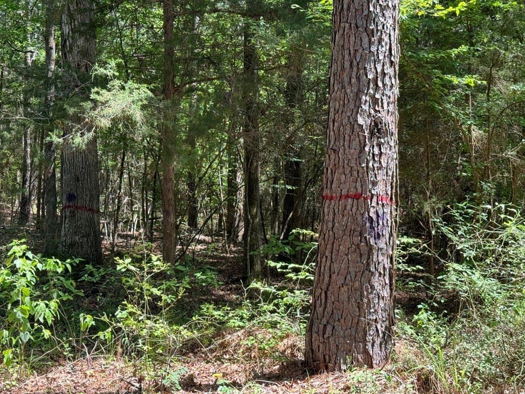 6.76 acres in Texas County - photo 28
