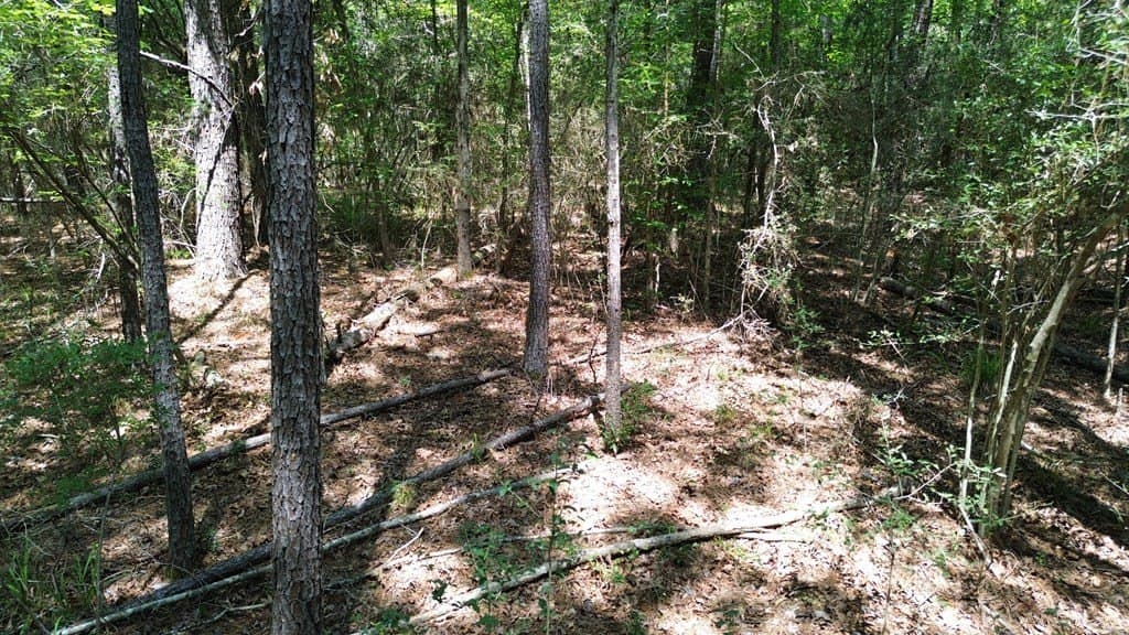 6.76 acres in Texas County - photo 20