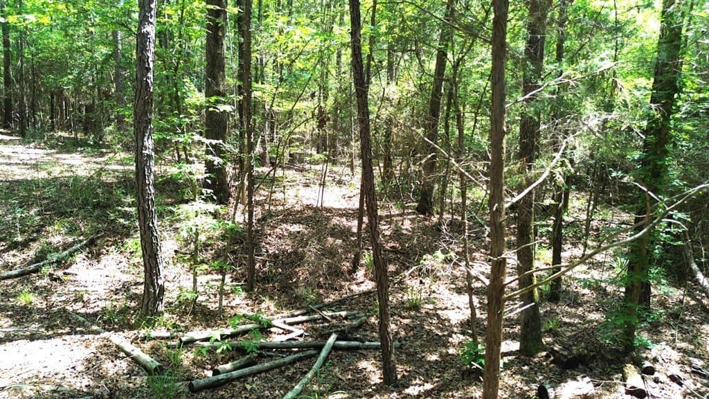 6.76 acres in Texas County - photo 21