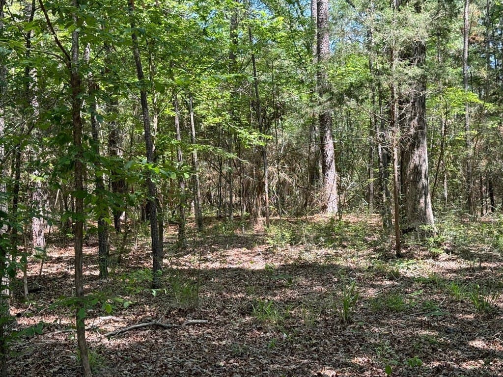 6.76 acres in Texas County - photo 25