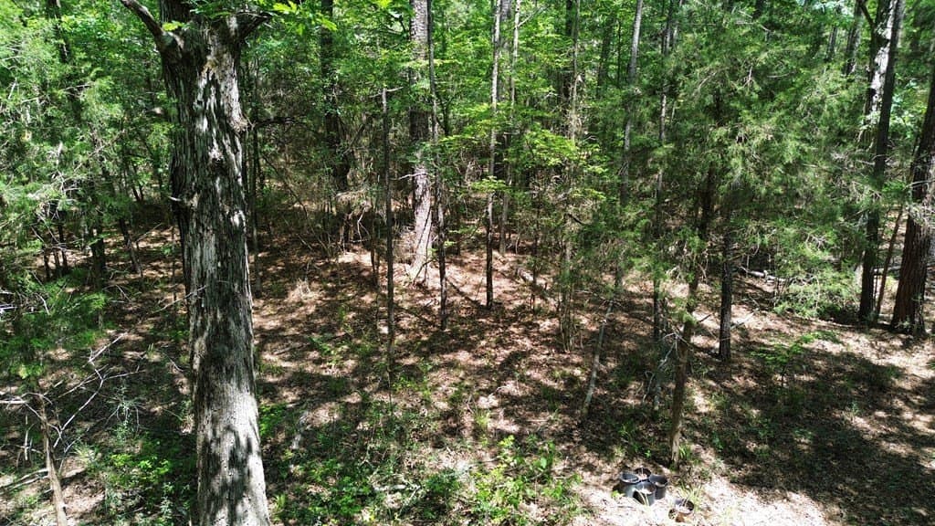 6.76 acres in Texas County - photo 18