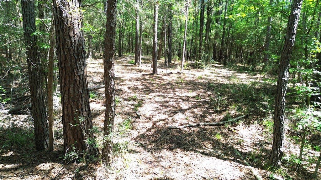 6.76 acres in Texas County - photo 19