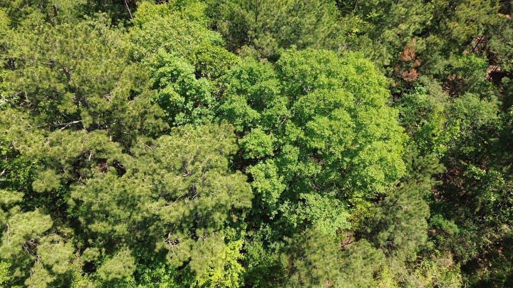 6.76 acres in Texas County - photo 10