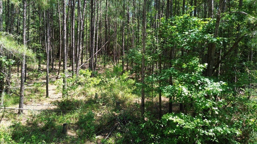 6.76 acres in Texas County - photo 14