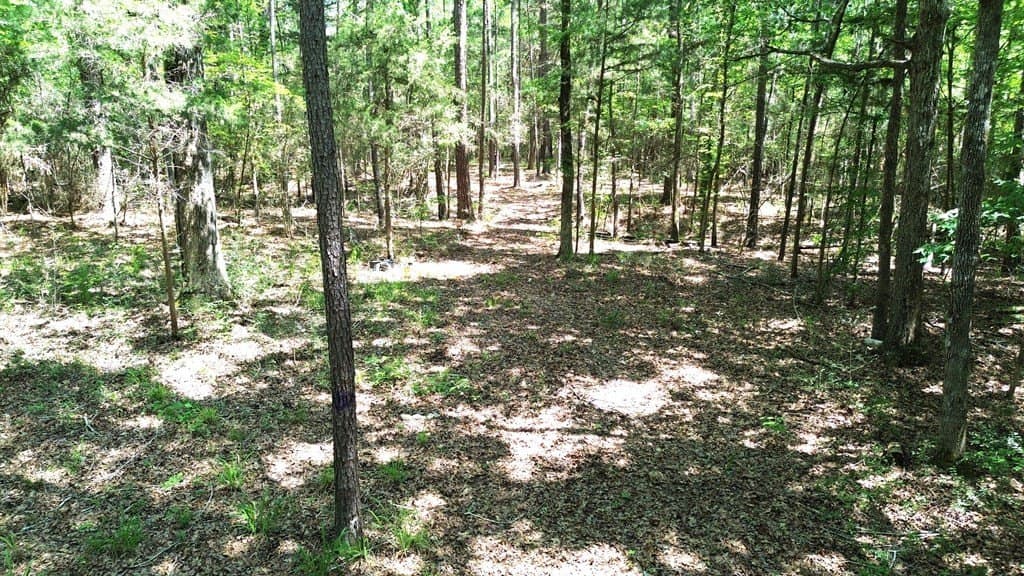 6.76 acres in Texas County - photo 22
