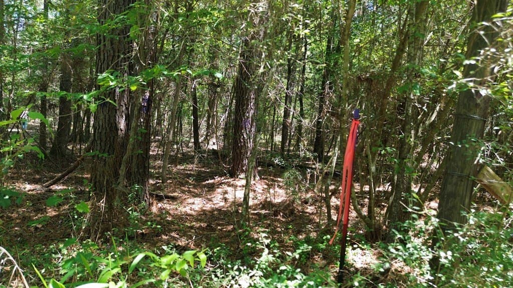 6.76 acres in Texas County - photo 24