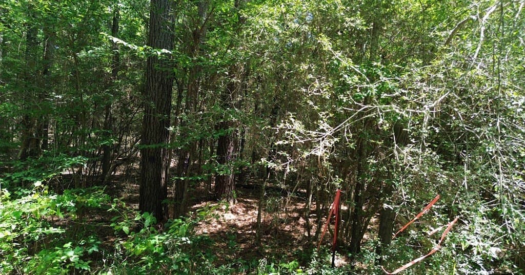 6.76 acres in Texas County - photo 23
