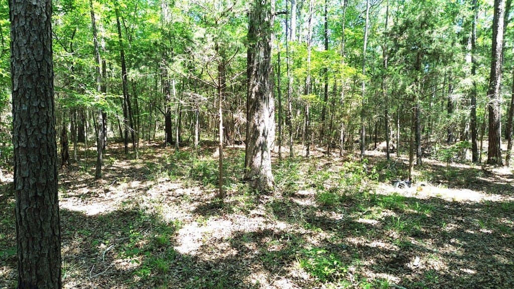 6.76 acres in Texas County - photo 15