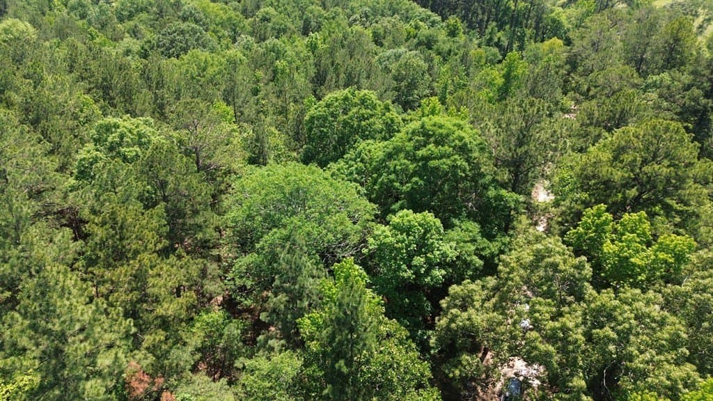 6.76 acres in Texas County - photo 9