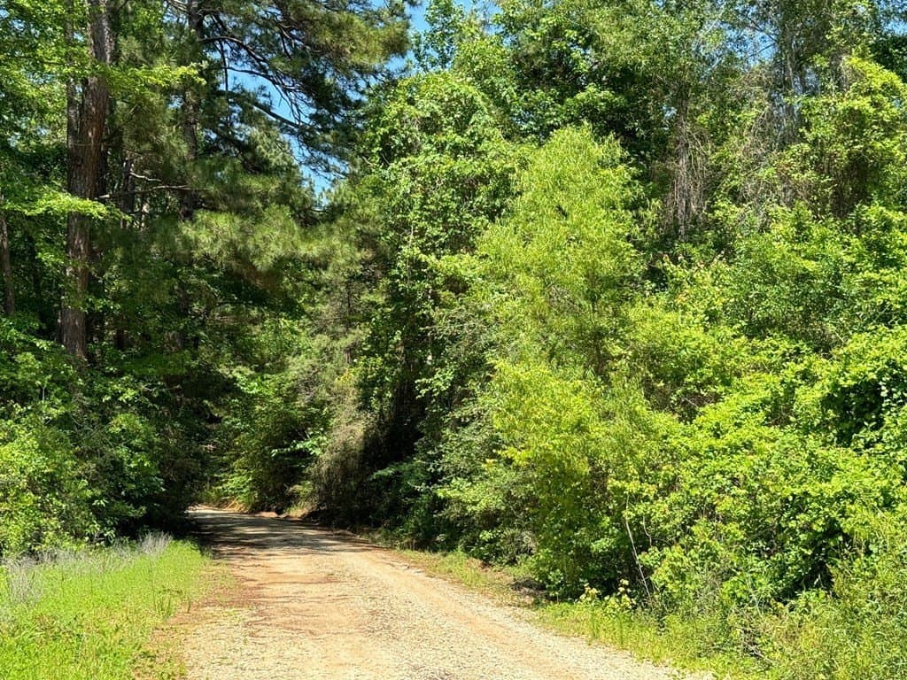6.76 acres in Texas County - photo 27
