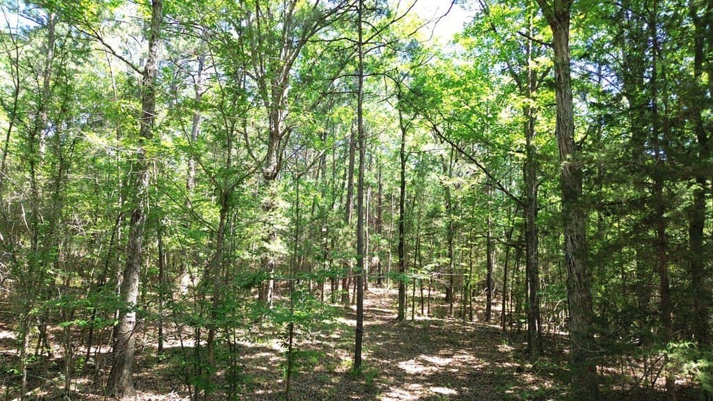 6.76 acres in Texas County - photo 5