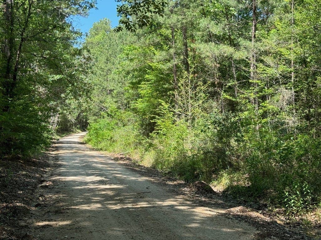 6.76 acres in Texas County - photo 4