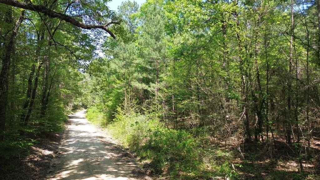 6.76 acres in Texas County - photo 6