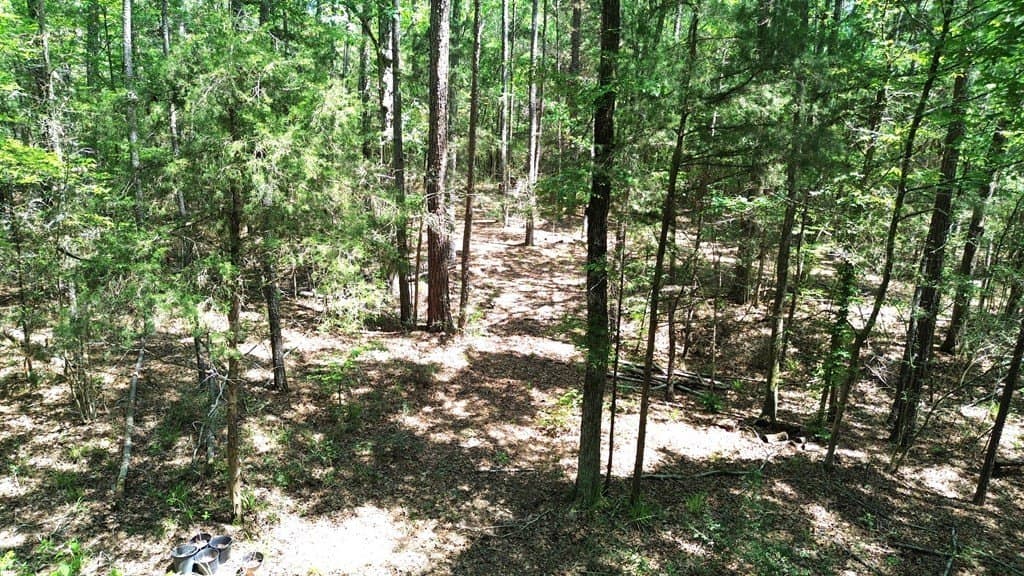 6.76 acres in Texas County - photo 16