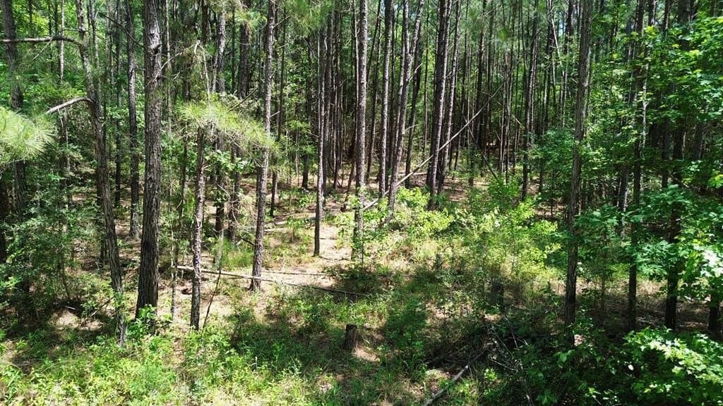 6.76 acres in Texas County - photo 2