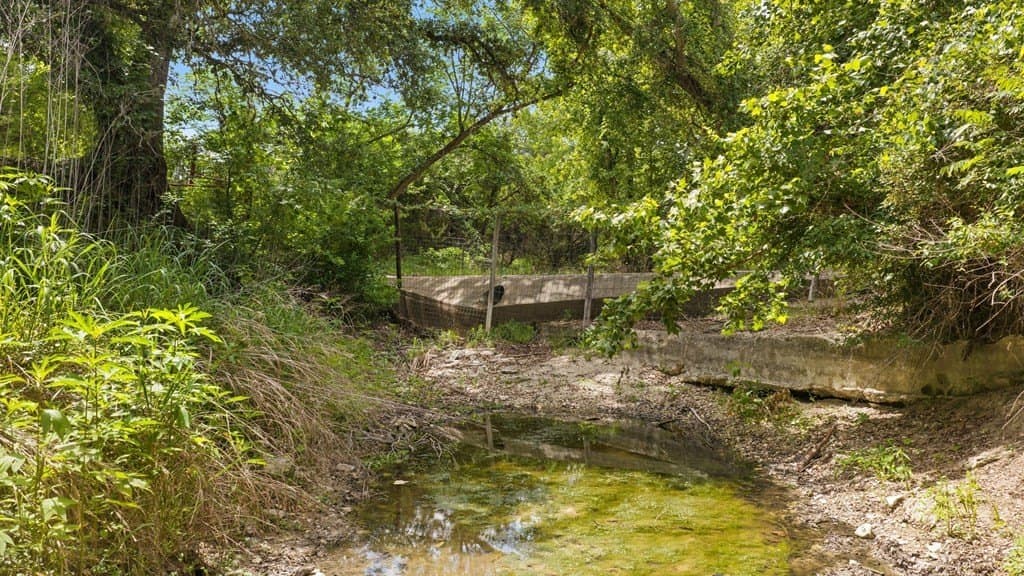 257 acres in Hays County - photo 8