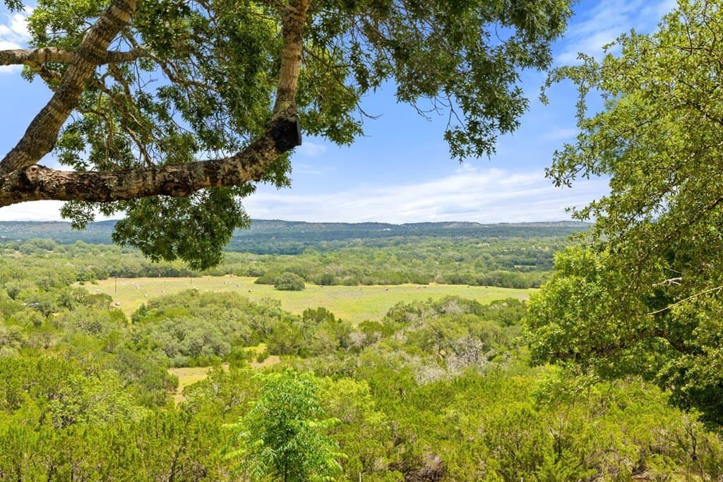 257 acres in Hays County - photo 48