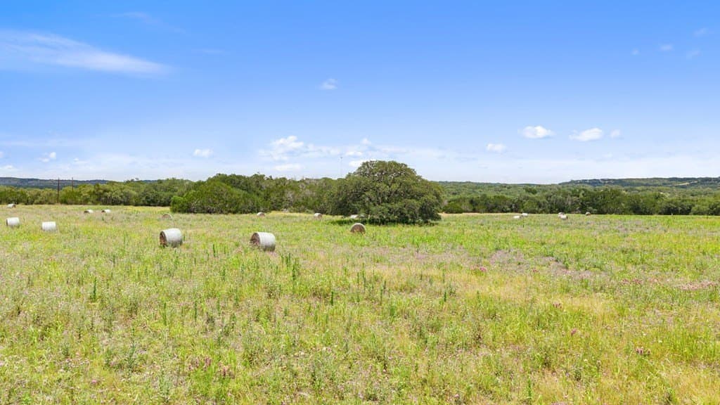 257 acres in Hays County - photo 47