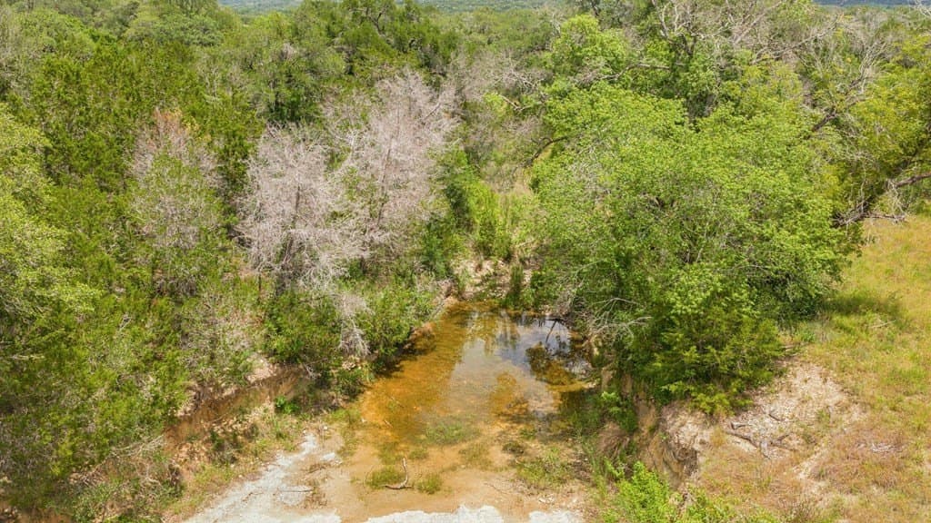 257 acres in Hays County - photo 7
