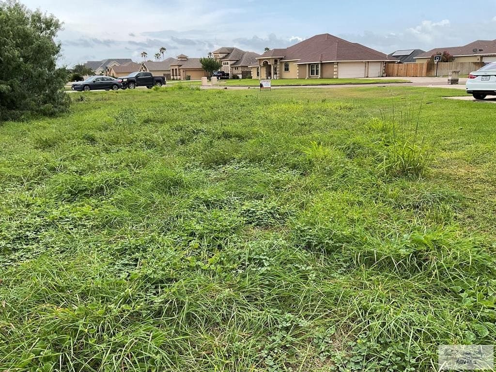 0.53 acres in CAMERON County gallery image 3