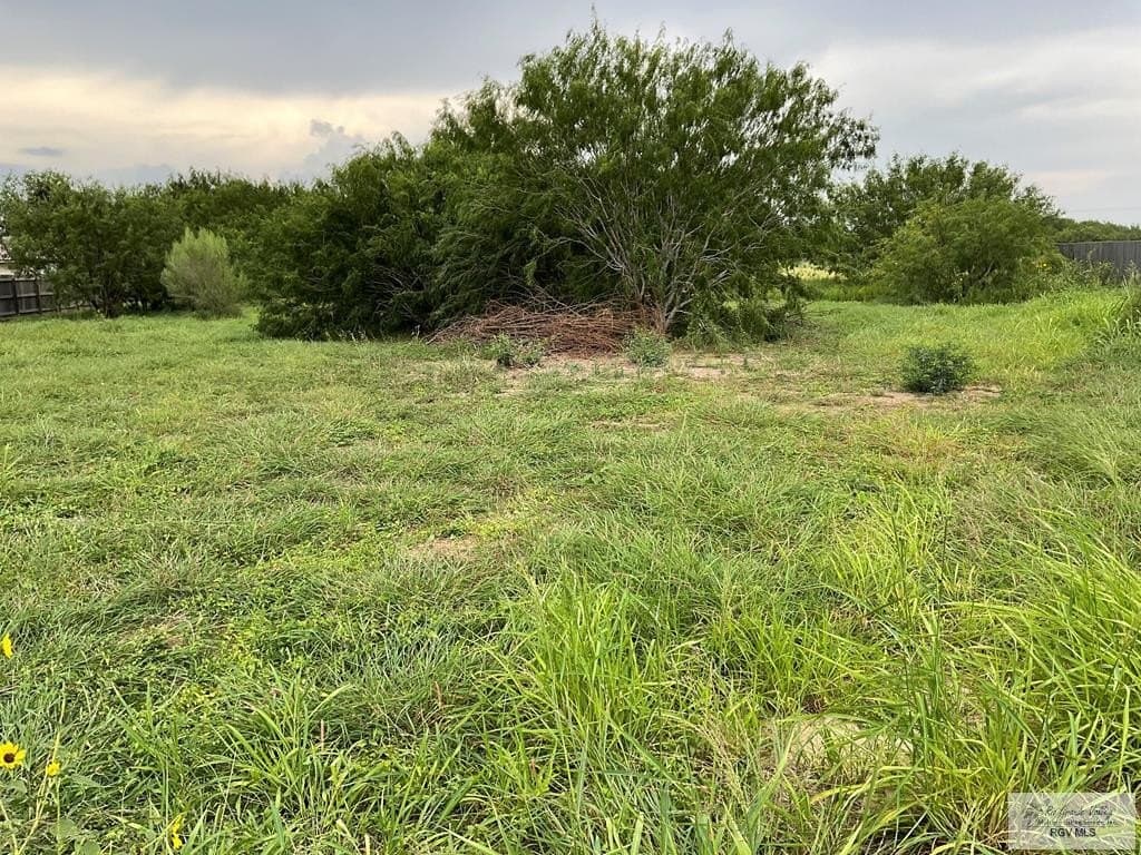 0.53 acres in CAMERON County gallery image 4