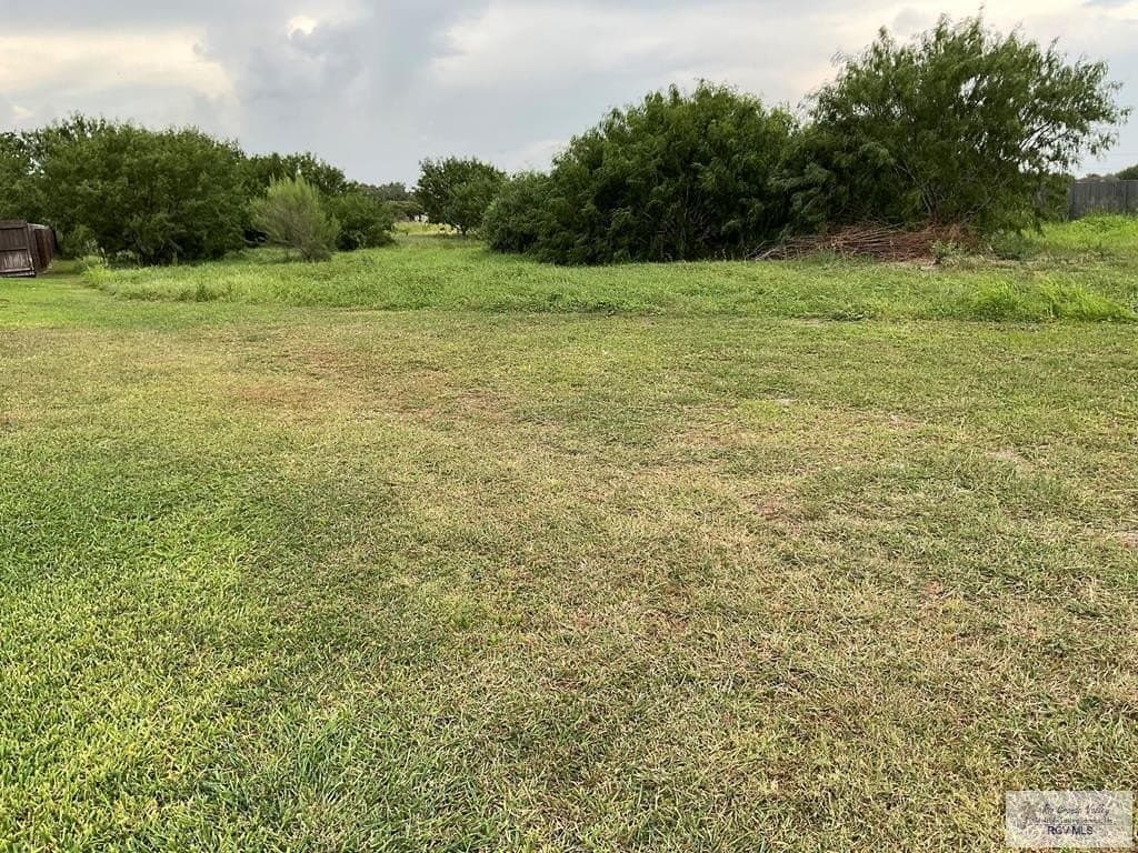 0.53 acres in CAMERON County gallery image 2