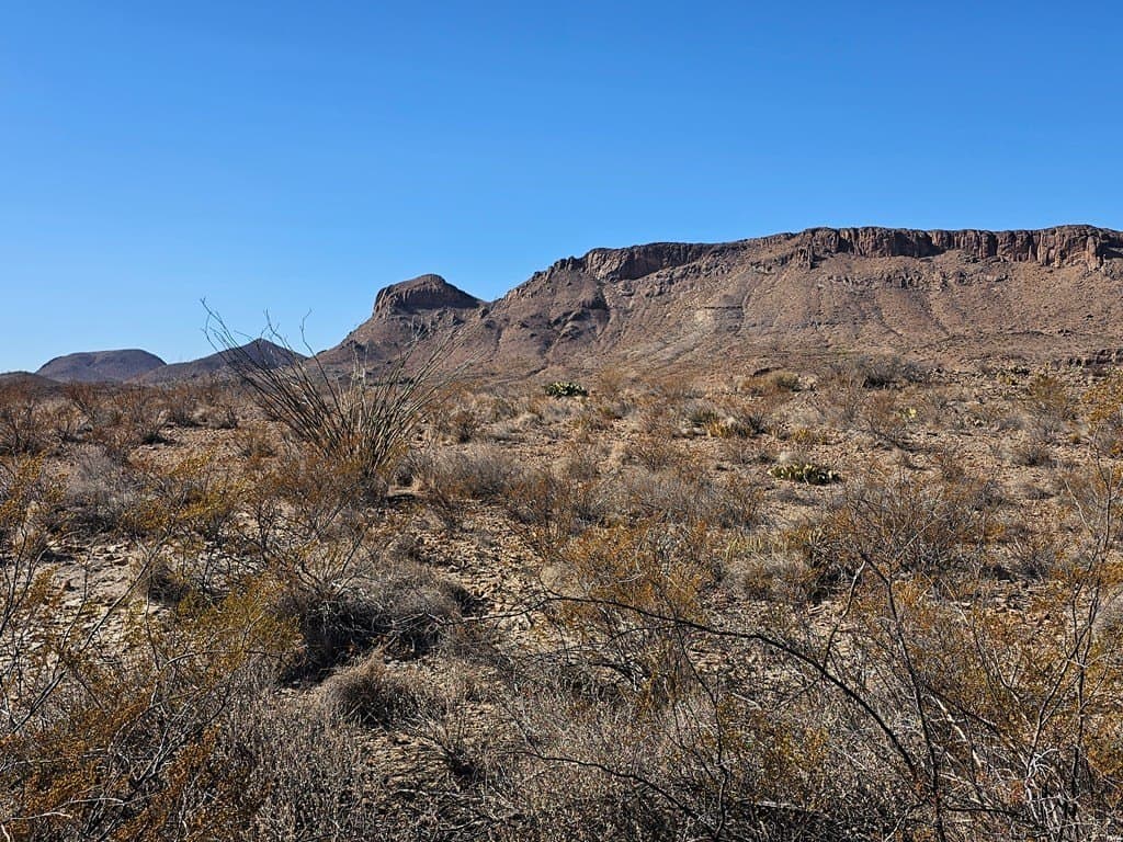 40 acres in Brewster County - photo 20