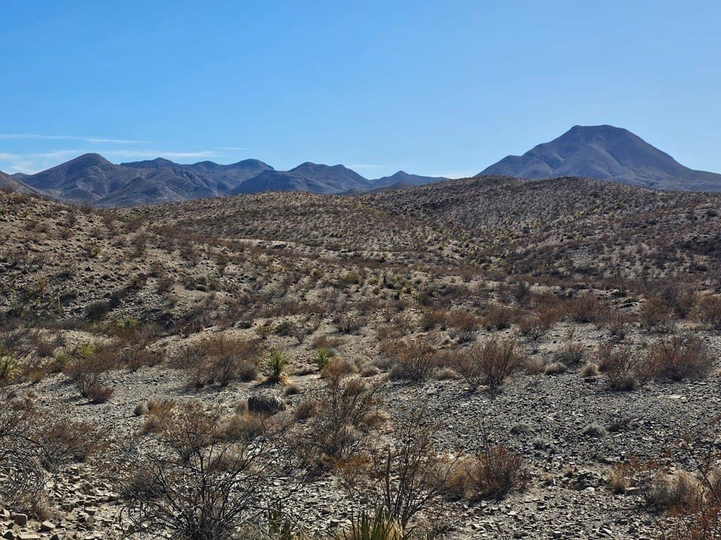 40 acres in Brewster County - photo 3