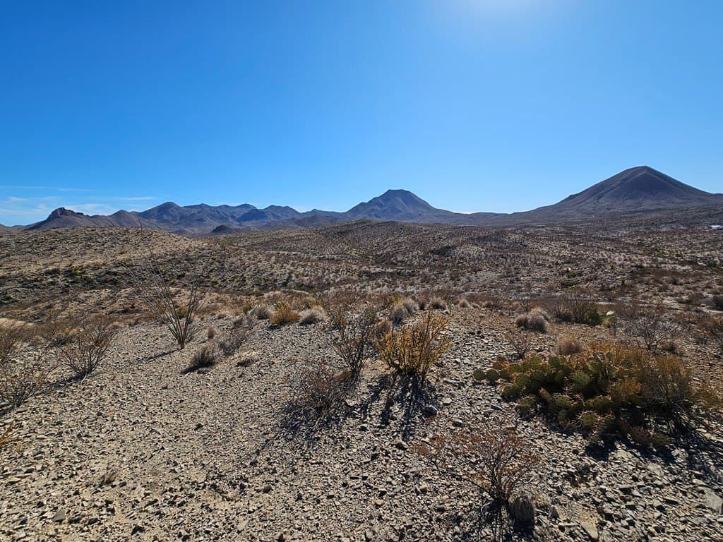 40 acres in Brewster County - photo 14