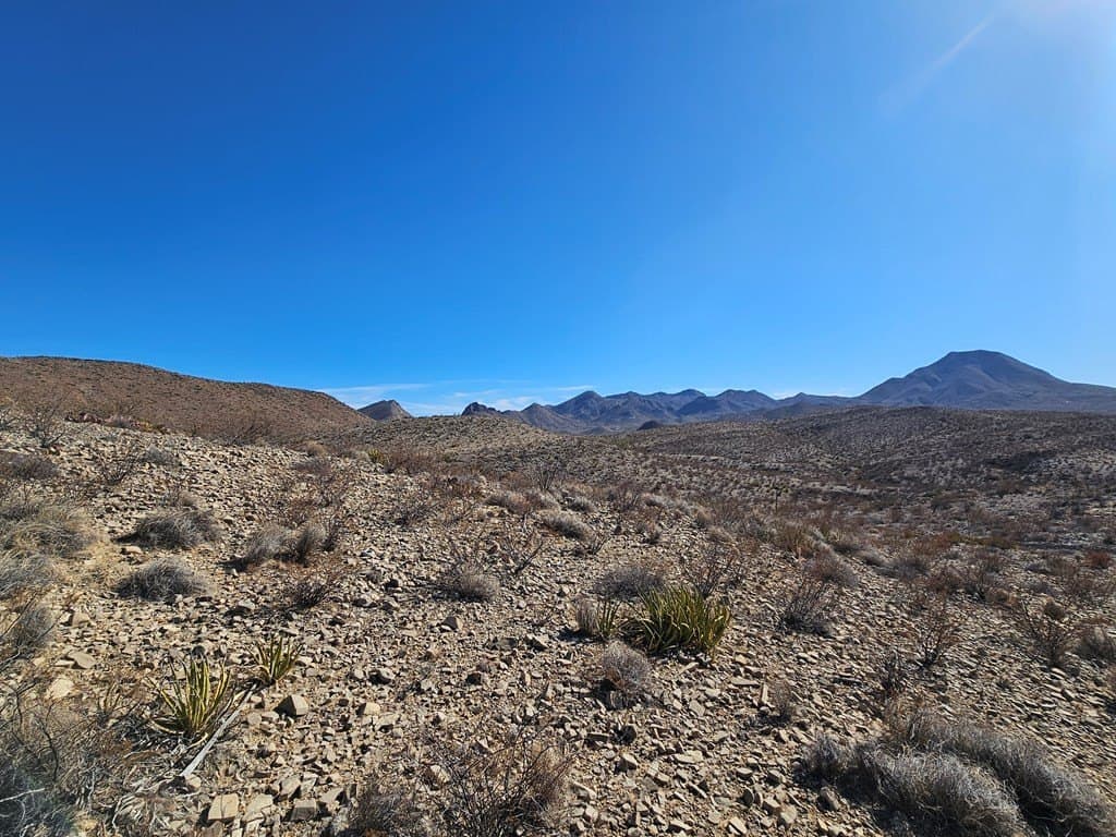 40 acres in Brewster County - photo 18