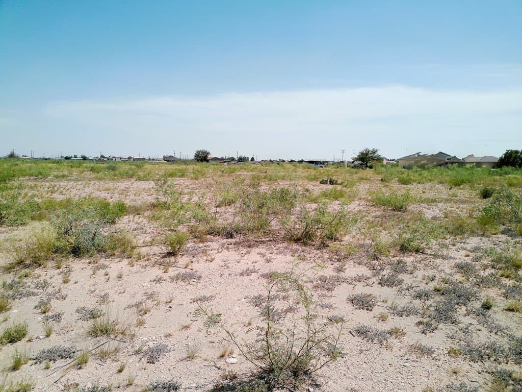 2.53 acres in Ector County gallery image 3